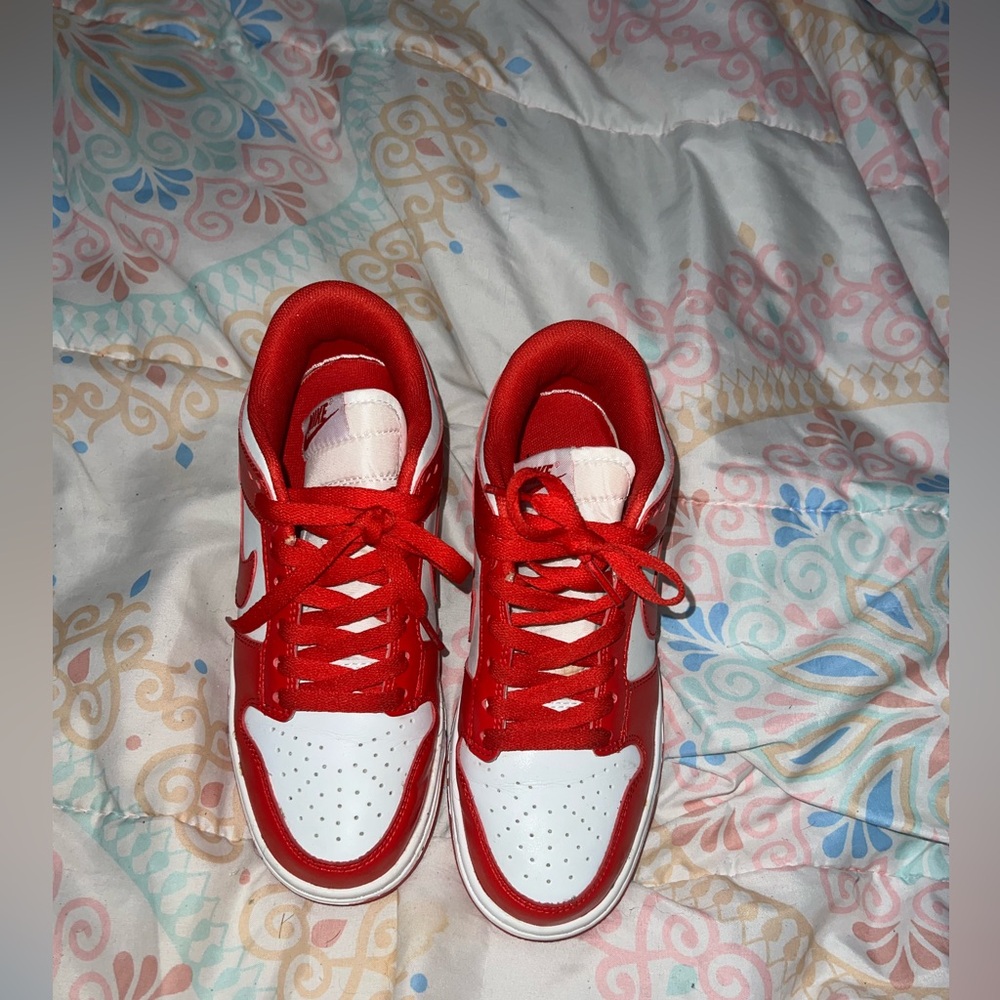 Nike Low Top Dunks
